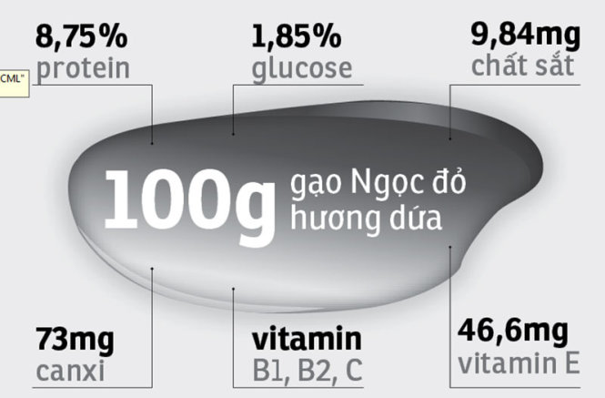 Đồ họa: Mạnh Tánh