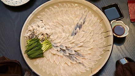Vì sao người Nhật bỏ nghìn đô ăn cá nóc chết người?