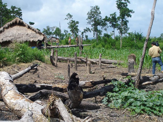 Nhiều dự án thuê đất rừng ở Đắk Lắk sai phạm, chưa xử lý dứt điểm