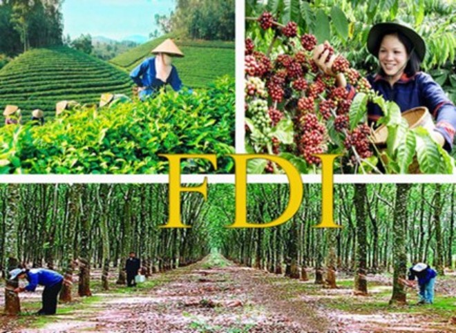 FDI trong nông nghiệp đạt 312 triệu USD/năm