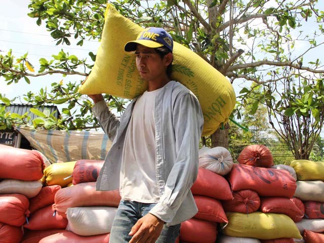 Việt Nam không thiếu gạo cho xuất khẩu