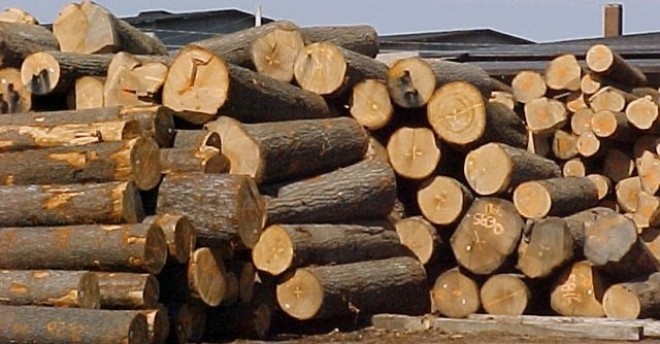 Xuất khẩu gỗ giúp Việt Nam giảm thâm hụt thương mại với Trung Quốc