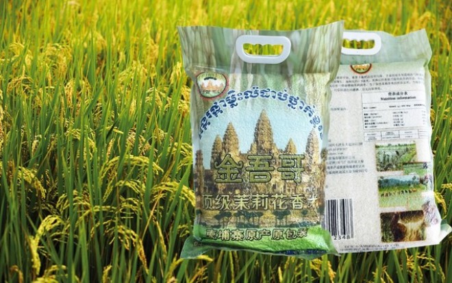 Ngành lúa gạo Campuchia sẽ sụp đổ?