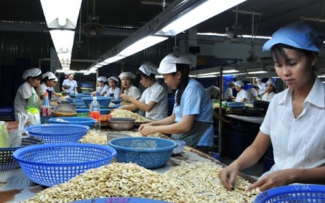 Hàng Việt vào thị trường trọng điểm: Chỉ chất lượng không đủ