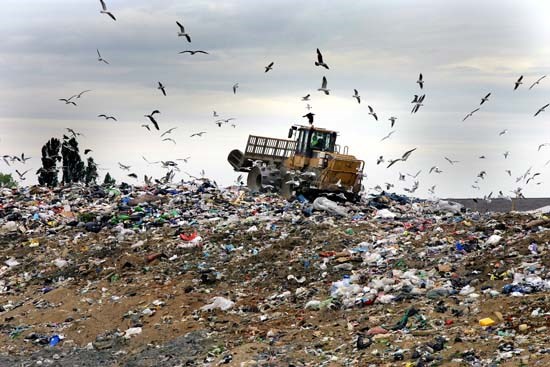 Gần 500 doanh nghiệp 'gánh' 28 triệu tấn rác/năm