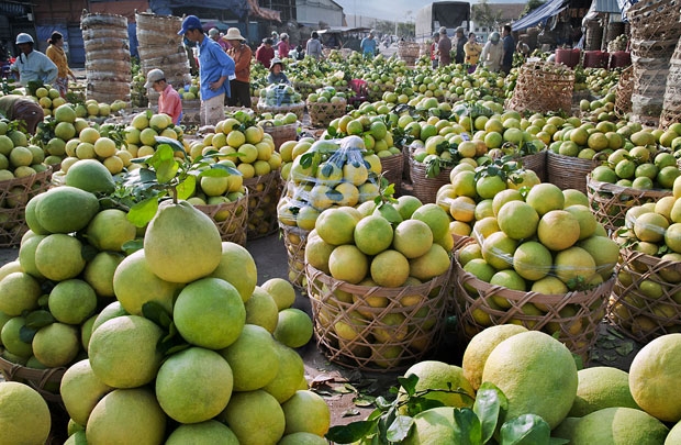Thị trường trái cây: Đích ngắm 2 tỷ USD