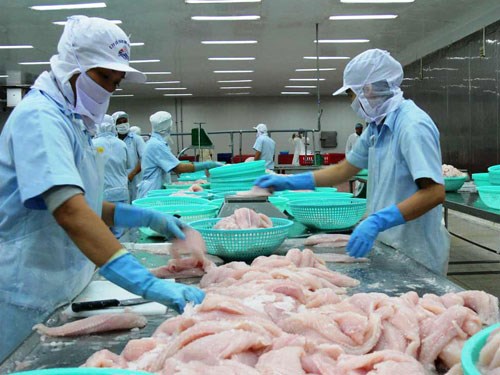 Thị trường thủy sản “chao đảo” vì doanh nghiệp ồ ạt bán nguyên liệu cho Trung Quốc