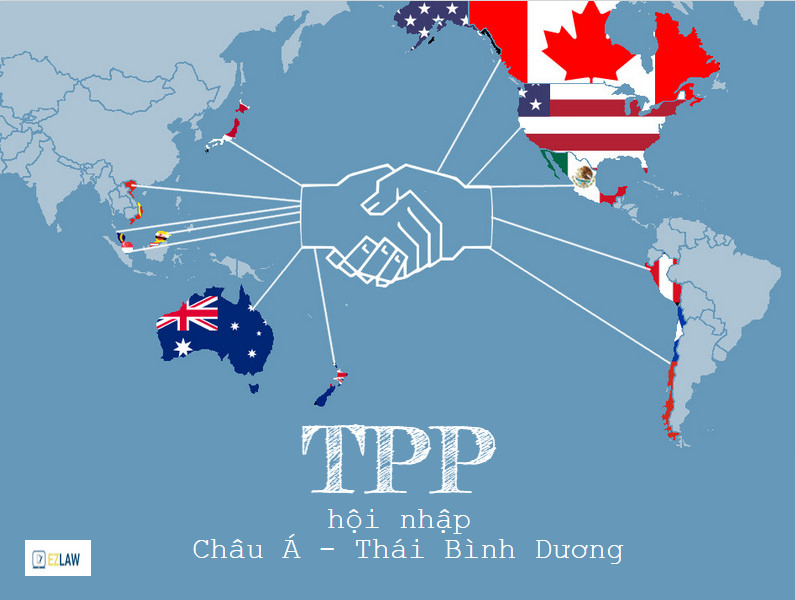 Vào TPP: Điện, xăng dầu, vận tải...chịu áp lực cải cách mạnh nhất