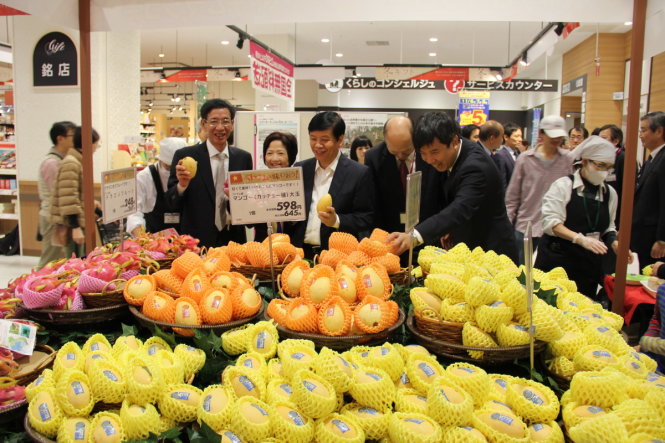 Đại sứ Việt Nam quảng bá xoài cát chu ở Nhật